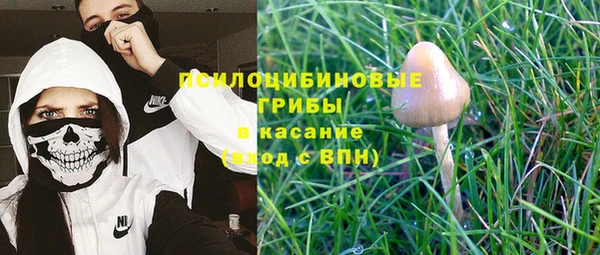 прущие крисы Беломорск