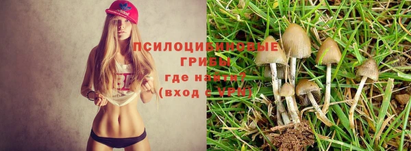 гашик Белоозёрский