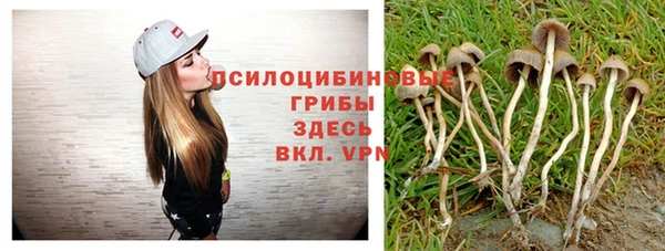 прущие крисы Беломорск