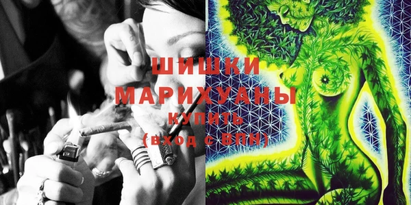 гашик Белоозёрский